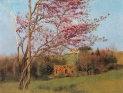 Landscape Blossoming Red Almond [study] by John William Godward